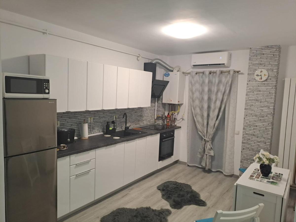 Apartament Bio Şelimbăr Extérieur photo